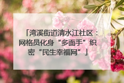 湾溪街道清水江社区：网格员化身“多面手”织密“民生幸福网”
