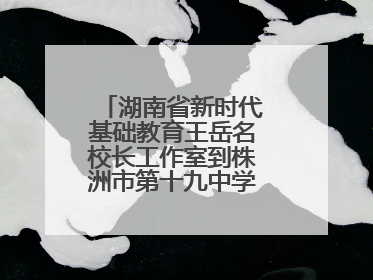 湖南省新时代基础教育王岳名校长工作室到株洲市第十九中学开展研修活动