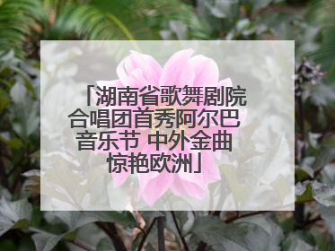 湖南省歌舞剧院合唱团首秀阿尔巴音乐节 中外金曲惊艳欧洲