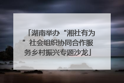 湖南举办“湘社有为”社会组织协同合作服务乡村振兴专题沙龙
