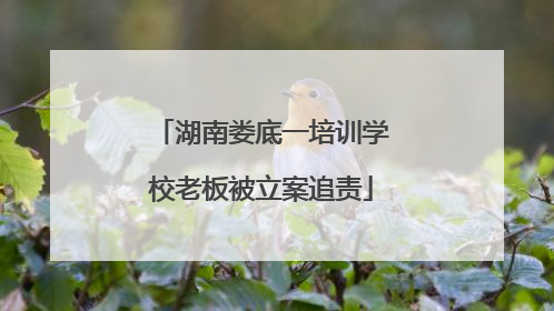 湖南娄底一培训学校老板被立案追责