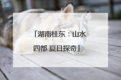 湖南桂东：山水四都 夏日探奇