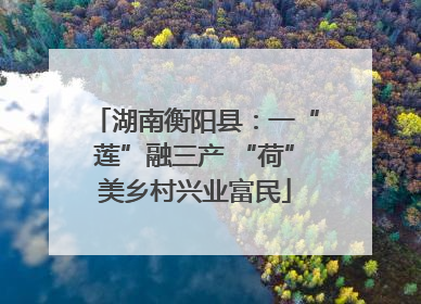 湖南衡阳县：一“莲”融三产 “荷”美乡村兴业富民