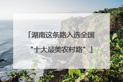 湖南这条路入选全国“十大最美农村路”
