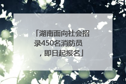 湖南面向社会招录450名消防员，即日起报名