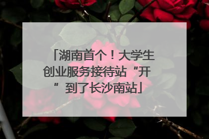 湖南首个！大学生创业服务接待站“开”到了长沙南站