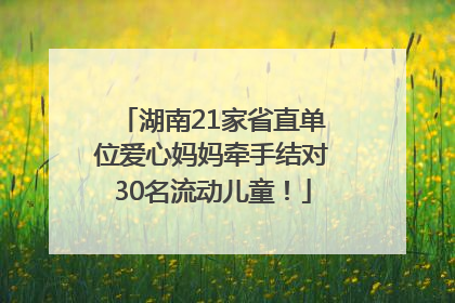 湖南21家省直单位爱心妈妈牵手结对30名流动儿童！
