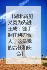 湖北省见义勇为先进王成：徒手握住利刃救人，这是我的责任和使命