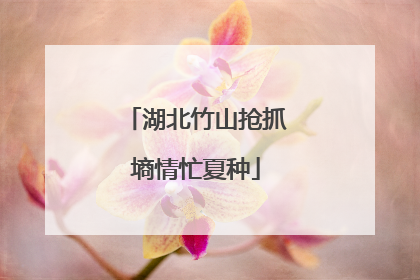 湖北竹山抢抓墒情忙夏种