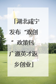 湖北咸宁发布“双创”政策包 广邀英才返乡创业
