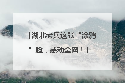 湖北老兵这张“涂鸦”脸，感动全网！