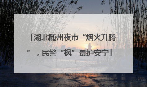 湖北随州夜市“烟火升腾”，民警“枫”景护安宁