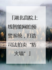 湖北高院上线智能网拍预警系统，打造司法拍卖“防火墙”