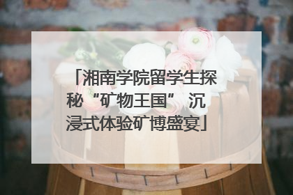 湘南学院留学生探秘“矿物王国” 沉浸式体验矿博盛宴