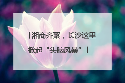 湘商齐聚，长沙这里掀起“头脑风暴”