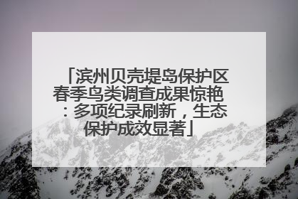 滨州贝壳堤岛保护区春季鸟类调查成果惊艳：多项纪录刷新，生态保护成效显著