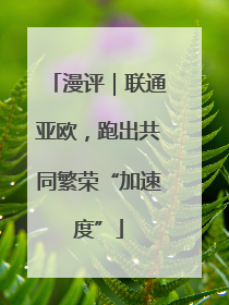 漫评｜联通亚欧，跑出共同繁荣“加速度”