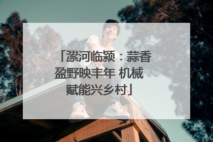 漯河临颍：蒜香盈野映丰年 机械赋能兴乡村