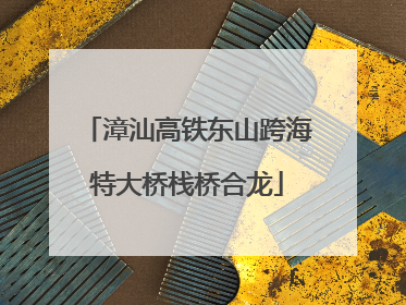 漳汕高铁东山跨海特大桥栈桥合龙