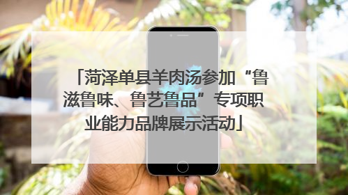 菏泽单县羊肉汤参加“鲁滋鲁味、鲁艺鲁品”专项职业能力品牌展示活动