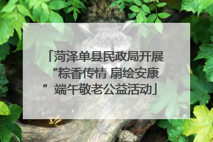 菏泽单县民政局开展“粽香传情 扇绘安康”端午敬老公益活动