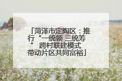 菏泽市定陶区：推行“一统领 三统筹” 跨村联建模式 带动片区共同富裕