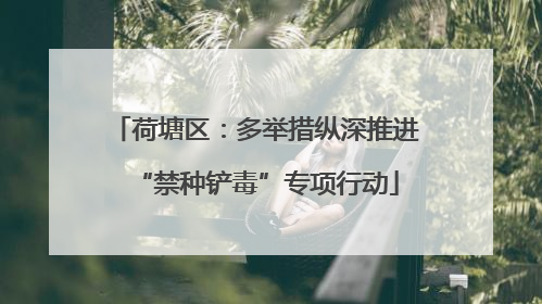 荷塘区：多举措纵深推进“禁种铲毒”专项行动