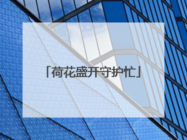 荷花盛开守护忙