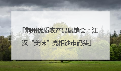 荆州优质农产品展销会：江汉“美味”亮相沙市码头