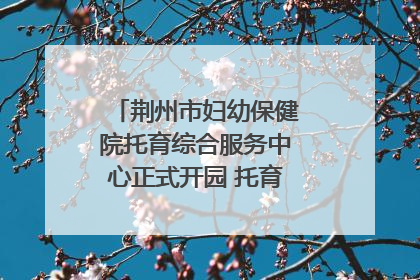 荆州市妇幼保健院托育综合服务中心正式开园 托育宣传月同步启动