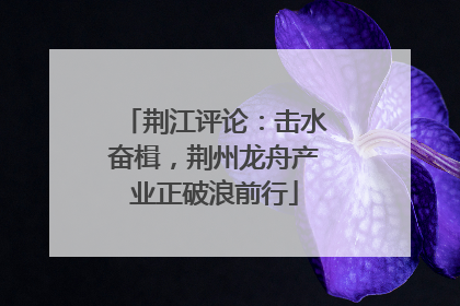 荆江评论：击水奋楫，荆州龙舟产业正破浪前行