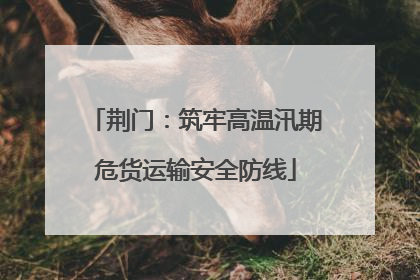 荆门：筑牢高温汛期危货运输安全防线