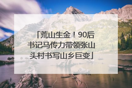 荒山生金！90后书记马传力带领张山头村书写山乡巨变