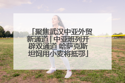 聚焦武汉中亚外贸新通道│中亚班列开辟双通道 哈萨克斯坦饲用小麦将抵鄂