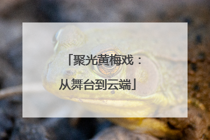 聚光黄梅戏：从舞台到云端