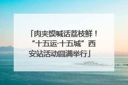 肉夹馍喊话荔枝鲜！“十五运·十五城”西安站活动圆满举行