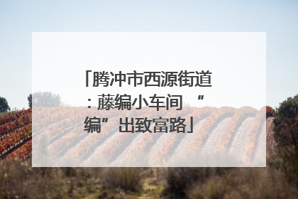 腾冲市西源街道：藤编小车间 “编”出致富路