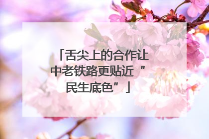 舌尖上的合作让中老铁路更贴近“民生底色”