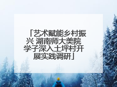 艺术赋能乡村振兴 湖南师大美院学子深入土坪村开展实践调研