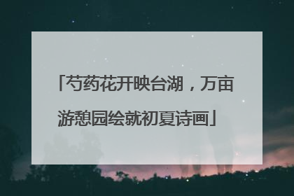 芍药花开映台湖，万亩游憩园绘就初夏诗画