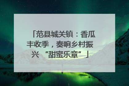 范县城关镇：香瓜丰收季，奏响乡村振兴 “甜蜜乐章”