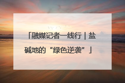 融媒记者一线行｜盐碱地的“绿色逆袭”