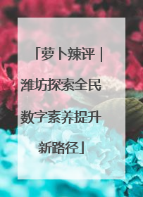 萝卜辣评｜潍坊探索全民数字素养提升新路径