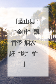 蓝山县：“金叶”飘香季 烟农赶“烤”忙