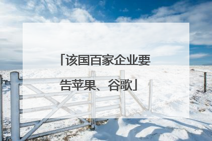 该国百家企业要告苹果、谷歌