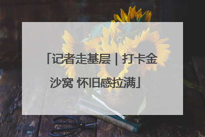 记者走基层｜打卡金沙窝 怀旧感拉满
