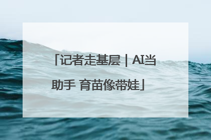 记者走基层｜AI当助手 育苗像带娃