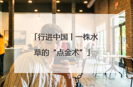 行进中国丨一株水草的“点金术”