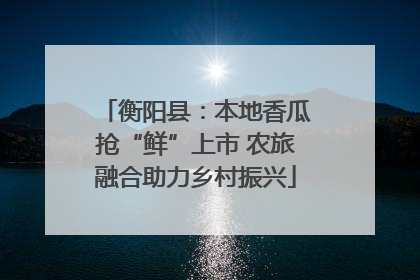 衡阳县：本地香瓜抢“鲜”上市 农旅融合助力乡村振兴