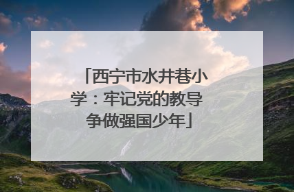 西宁市水井巷小学：牢记党的教导 争做强国少年